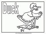 Duckling Duck sketch template