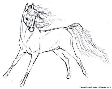 wild horses drawing amazing wallpapers