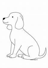 Chiot Perros Animaux Gratis Coloriage Cachorro Animales Coloriages sketch template