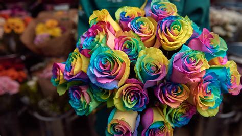 these rainbow roses are the ultimate valentine s day bouquet