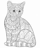 Cat Coloring Pages Adult Book Details Color Illustration Zen Relaxing Isolated Cute Style Print Adults Kids Online sketch template