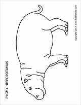Printable Hippopotamus Pygmy Animal Firstpalette Printables sketch template
