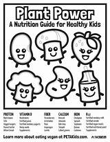 Nutrition Vegan Peta Students Veganizing Importance Teach Plates Their Guide Teachkind Accompanying Saves Inform Lives Coloring Sheet Animals Better Health sketch template
