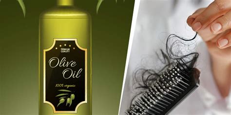 olive oil prevents hair loss     ingredients