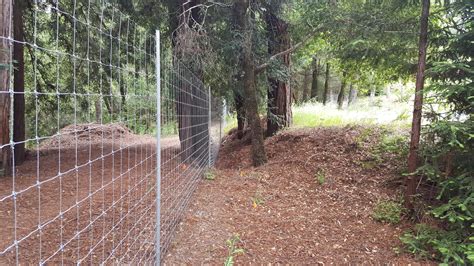 Deer Fences