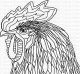 Rooster Coloring Adult Printable sketch template