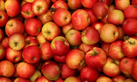 How To Eat Apples Life And Style The Guardian