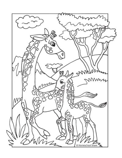 african animals coloring pages homeschool share