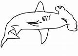 Hammerhead Shark Coloring Sharks sketch template
