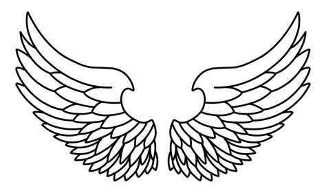 vector angel wings  art  outline  vector art