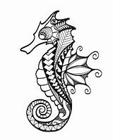 Seahorse Zentangle Cavalluccio Caballitos Mandala Seahorses Maori Tatuaggio Caballito Seepferdchen Doodle Mandalas Cavallucci Marini Westend Caballo sketch template
