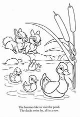 Ducks Bunnies sketch template