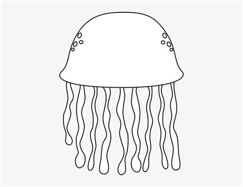 jellyfish jelly fish outline clipart kid sea life clipart png black