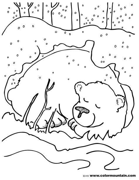 great coloring sheet   hibernation themed story time
