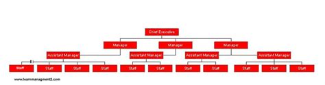 hierarchical organisational structure