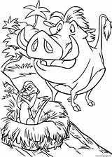 Coloring Pumbaa Timon sketch template