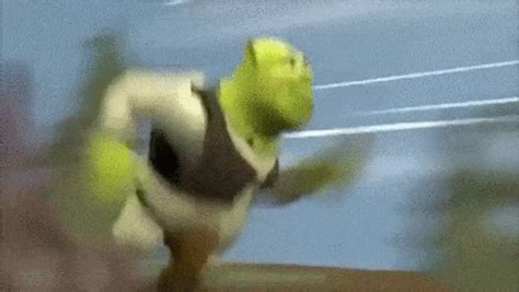 shrek s on his way to steal yo girl on my way to steal yo girl know