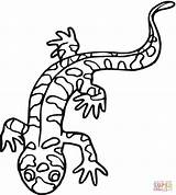 Salamandra Salamander sketch template