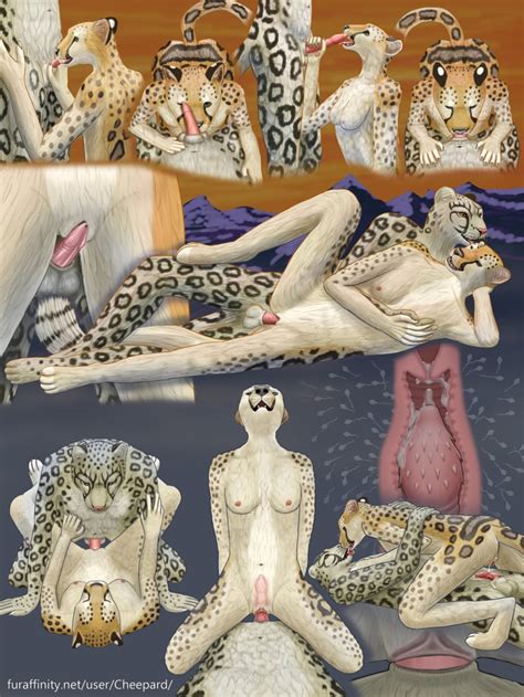 Rule 34 Anthro Cheepard Cheetah Feline Fellatio Fur Furry Leopard Mia