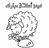 Eid Adha Pecore Schaf Malvorlage Ovejas Pecora Oveja Einfach Moltitudine Nere Sheep Bianche Fronte Vettore Bassa Priorità Ausmalbilderfureuch sketch template