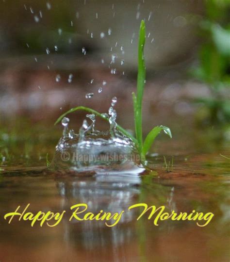 rainy day good morning rainy day good good morning