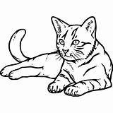 Katzen Ausmalbilder Malvorlagen Kostenlose Ausmalen Kinder Zeichnen sketch template