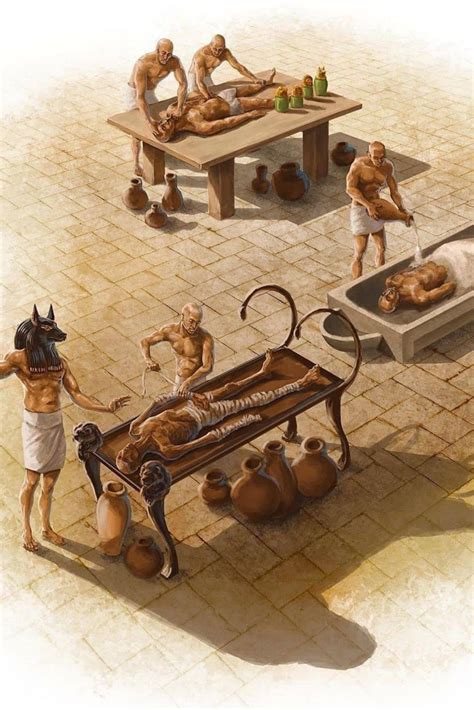 The Method Of Mummification Mummification Process Ancient Egypt