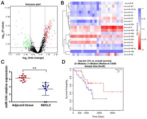mir‑144‑3p regulates the resistance of lung cancer to cisplatin by