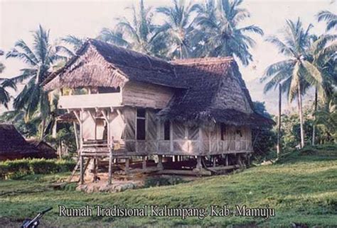 rumah adat sulawesi barat nama keunikan gambar