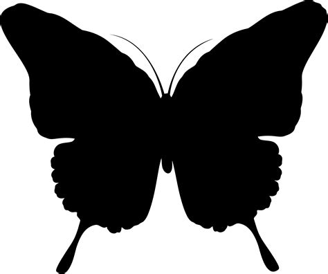 butterfly silhouette cliparts   butterfly silhouette