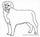 Dog Bernese Breed sketch template