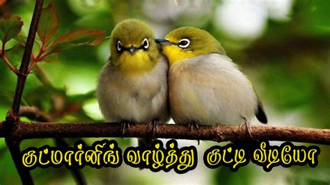 good morning sms tamil whatsapp video  youtube