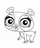 Coloring Pages Lps Pet Shop Littlest Ling Penny Animal Cute Printable Pets Animals Kids Printables Wuppsy Gif Popular Little Baby sketch template