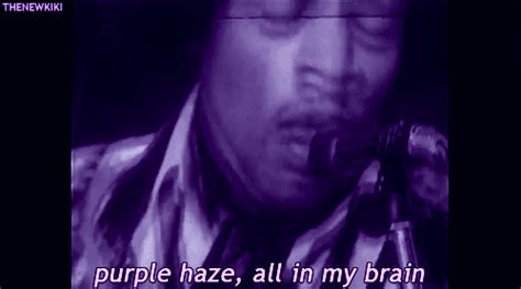 purple haze s find and share on giphy