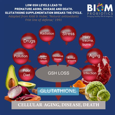 l glutathione probiotic suppository 15 biom probiotics