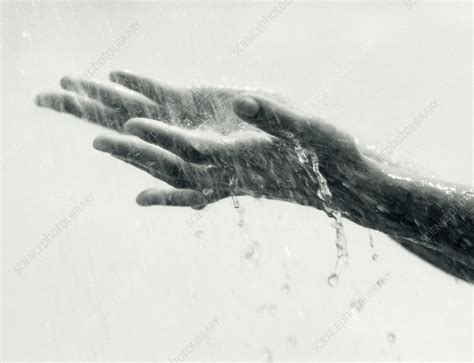 washing hands stock image m985 0183 science photo library