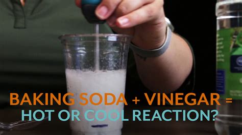 vinegar and baking soda reaction heat up or cool down vernier