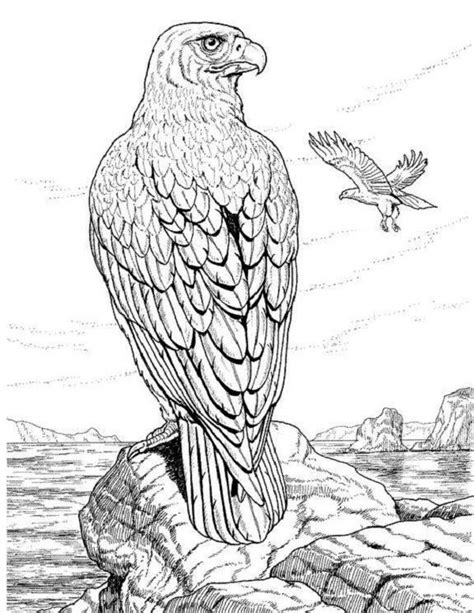 adult animal coloring pages coloring home