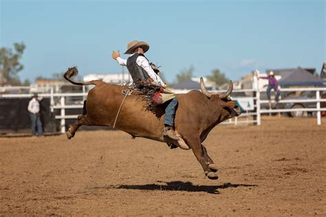 ultimate rodeo rodeobull ridinghorse ridingtrailers