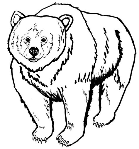 dibujos de osos  colorear  pintar