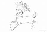Stag Coloring Pages Redone Reindeer Lineart Kids Printable sketch template