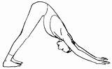 Mukha Svanasana Adho Yoga Travellers Routine Sweet Short Poses Lengthen Hips Any Body sketch template
