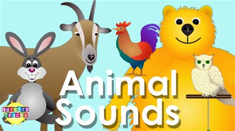 farm animal sounds super simple songs