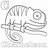 Chameleon Kameleon Kolorowanki Outline Kids Bestcoloringpagesforkids Dzieci Camaleonte Chameleons Colorare Wydruku sketch template