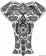 Zentangle Coloring Pages Elephant Printable Easy Adults Print Color Getcolorings Puzzle Categories Paper Totally sketch template