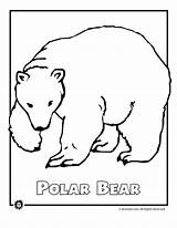 Polar Bear Coloring Pages Arctic Animals Endangered Color Kids Printable Animal Sheets Print Template Bears Species Winter Sheet Colouring Preschool sketch template