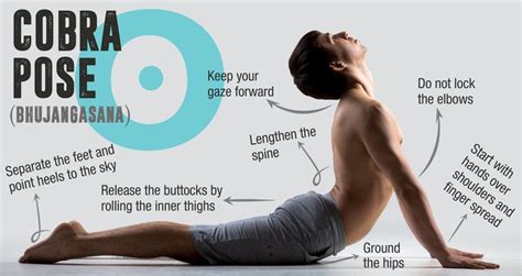 pin  yoga anatomy