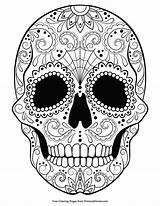 Halloween Skull Coloring Sugar Pages Primarygames Skulls Colouring Printable Adult Adults Book Books Mandala Pdf Ebook Word Dead Sheets Tattoo sketch template