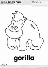 Gorilla Coloring Simple Super Wag Tail Songs Learning Supersimplelearning Animal Song Flashcards Kindergarten животные Supersimple источник Printables sketch template