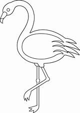 Flamingo Clipart Outline Line Transparent Webstockreview Classroom sketch template